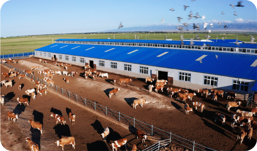 2025091914893359.png 4.png